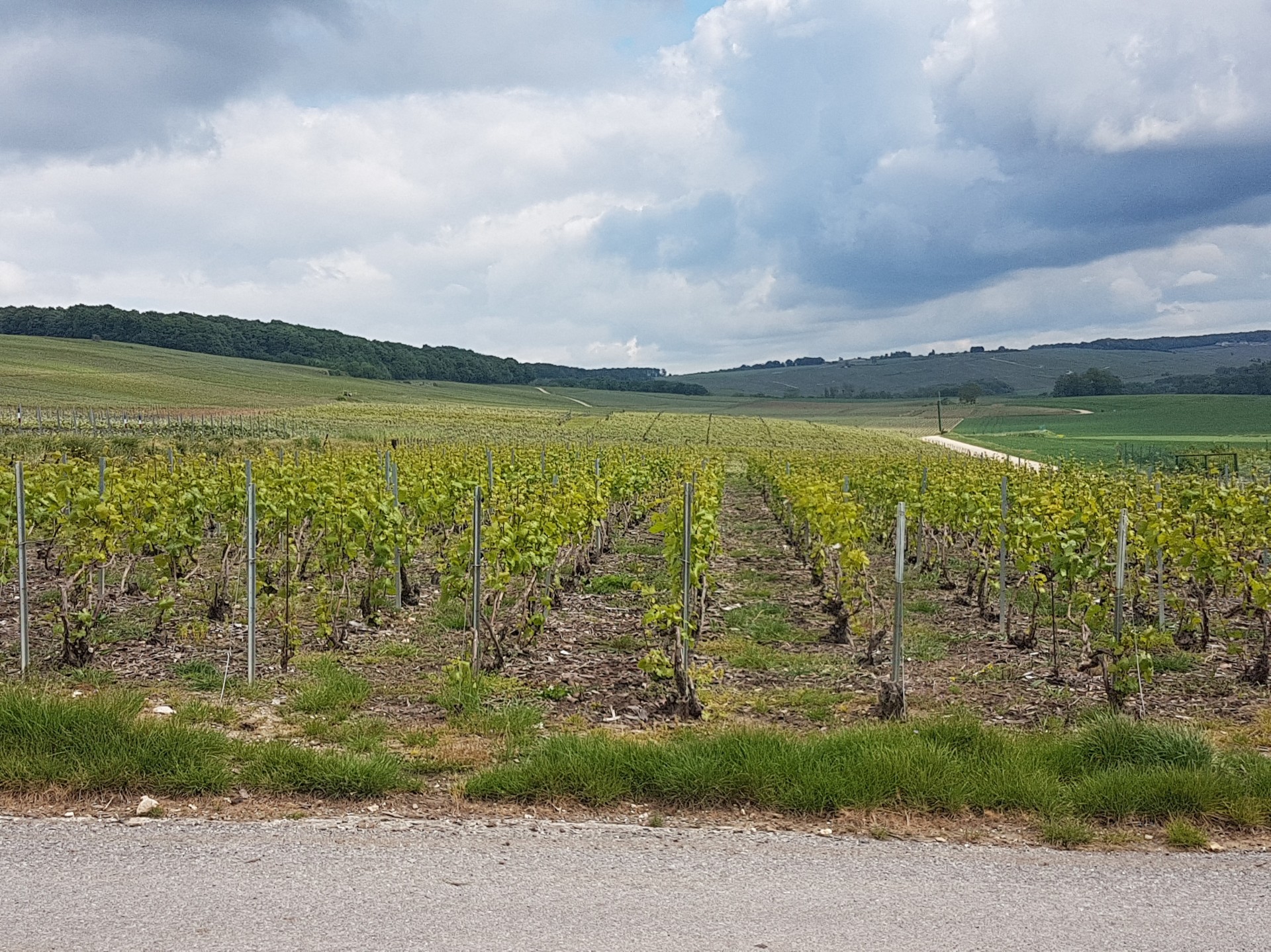 La Loge des Vignes le 29.04.2020